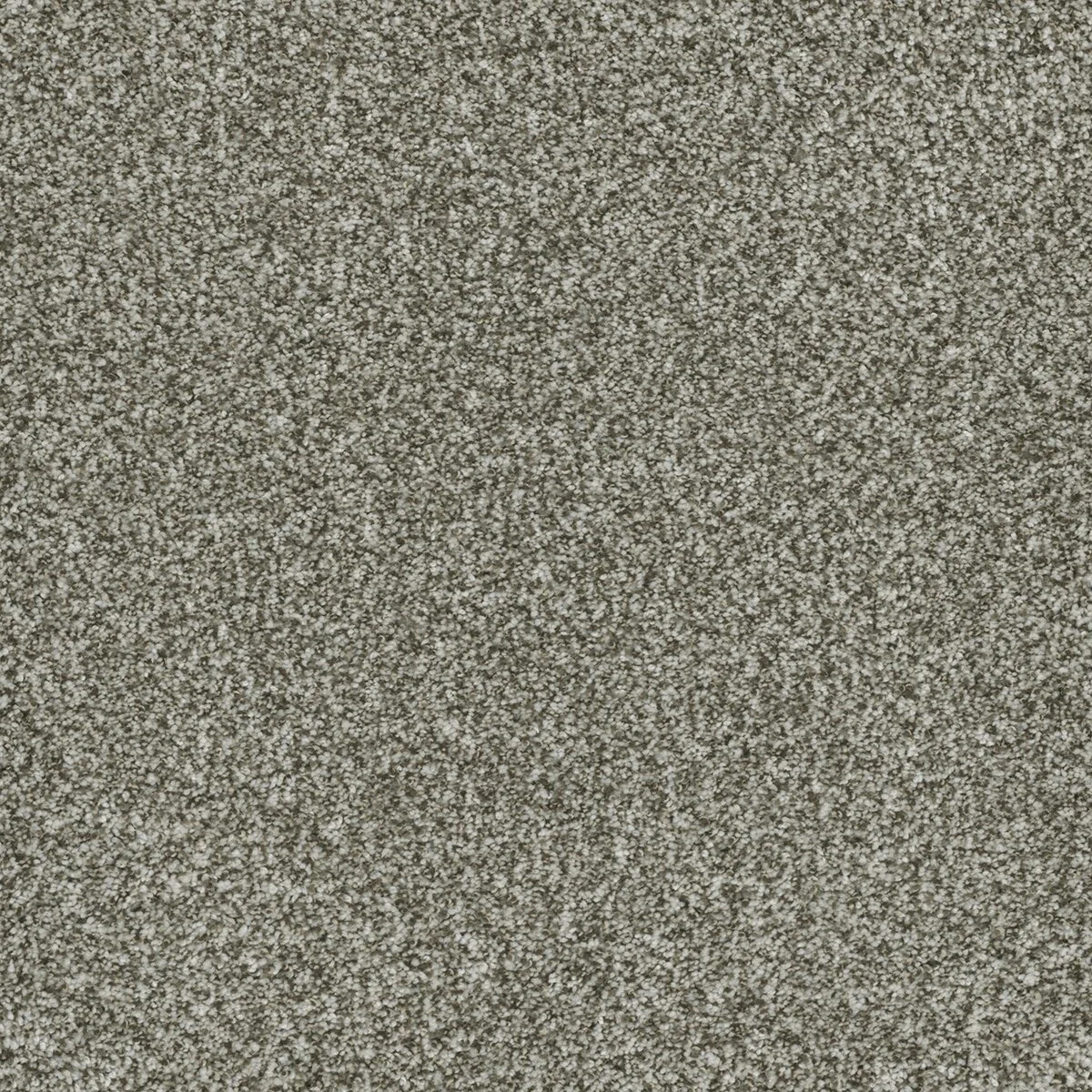 6240_848__14992.1579018910.jpg