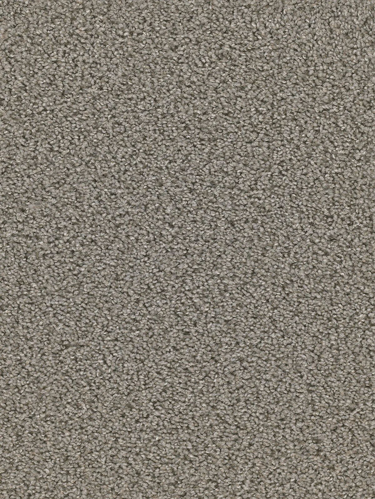 3025_835__93502.1559742541.jpg