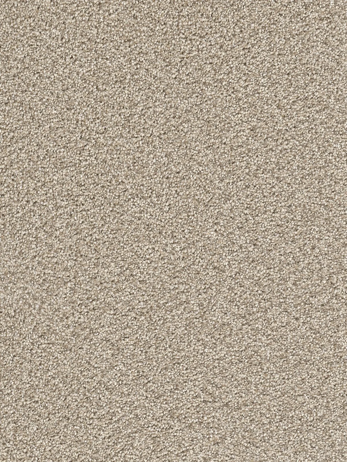 2540_824__31974.1560348364.jpg
