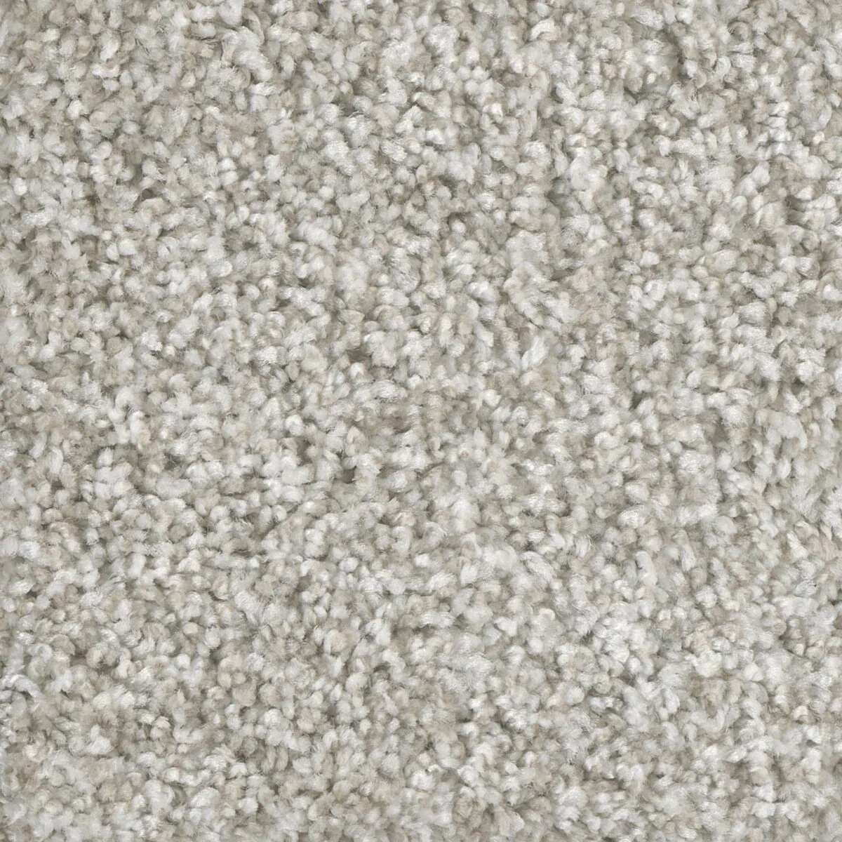 7135_54__36757.1571859327.jpg
