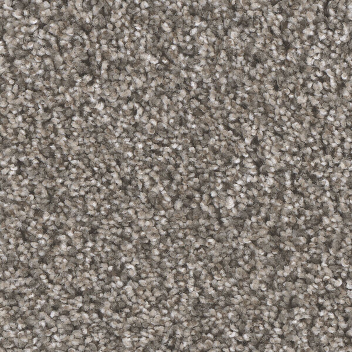 7145_45__23359.1571858553.jpg