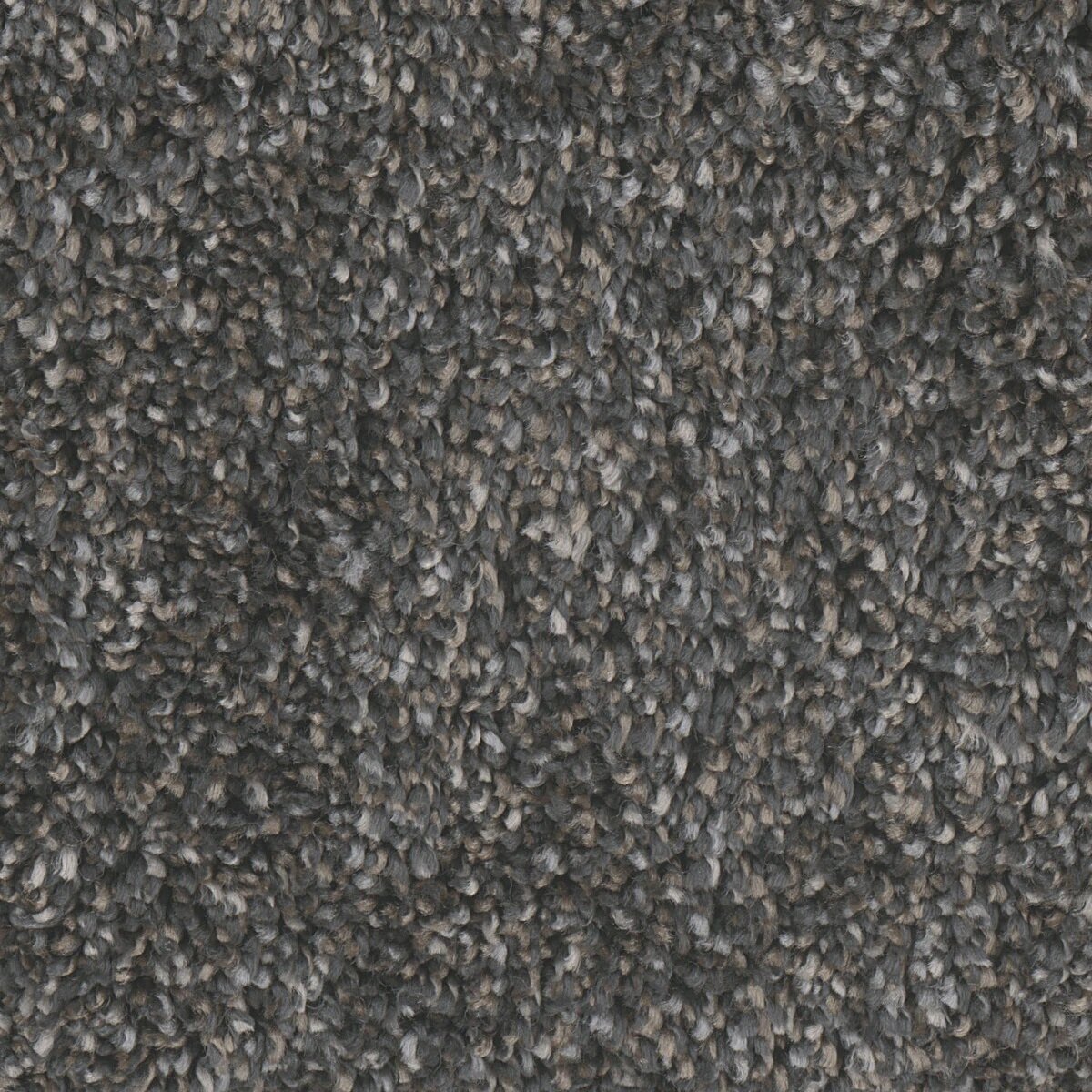7160_37__00956.1571859632.jpg