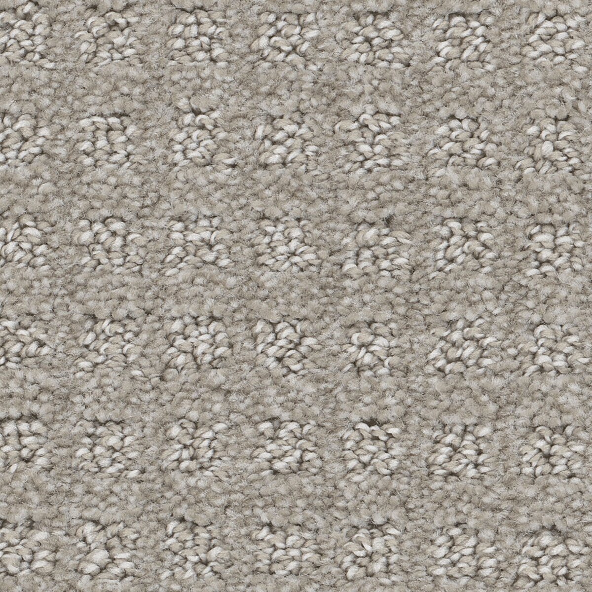 1332_182__65584.1559761162.jpg