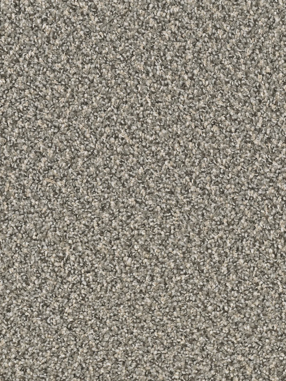 3225_783__66265.1559745911.jpg