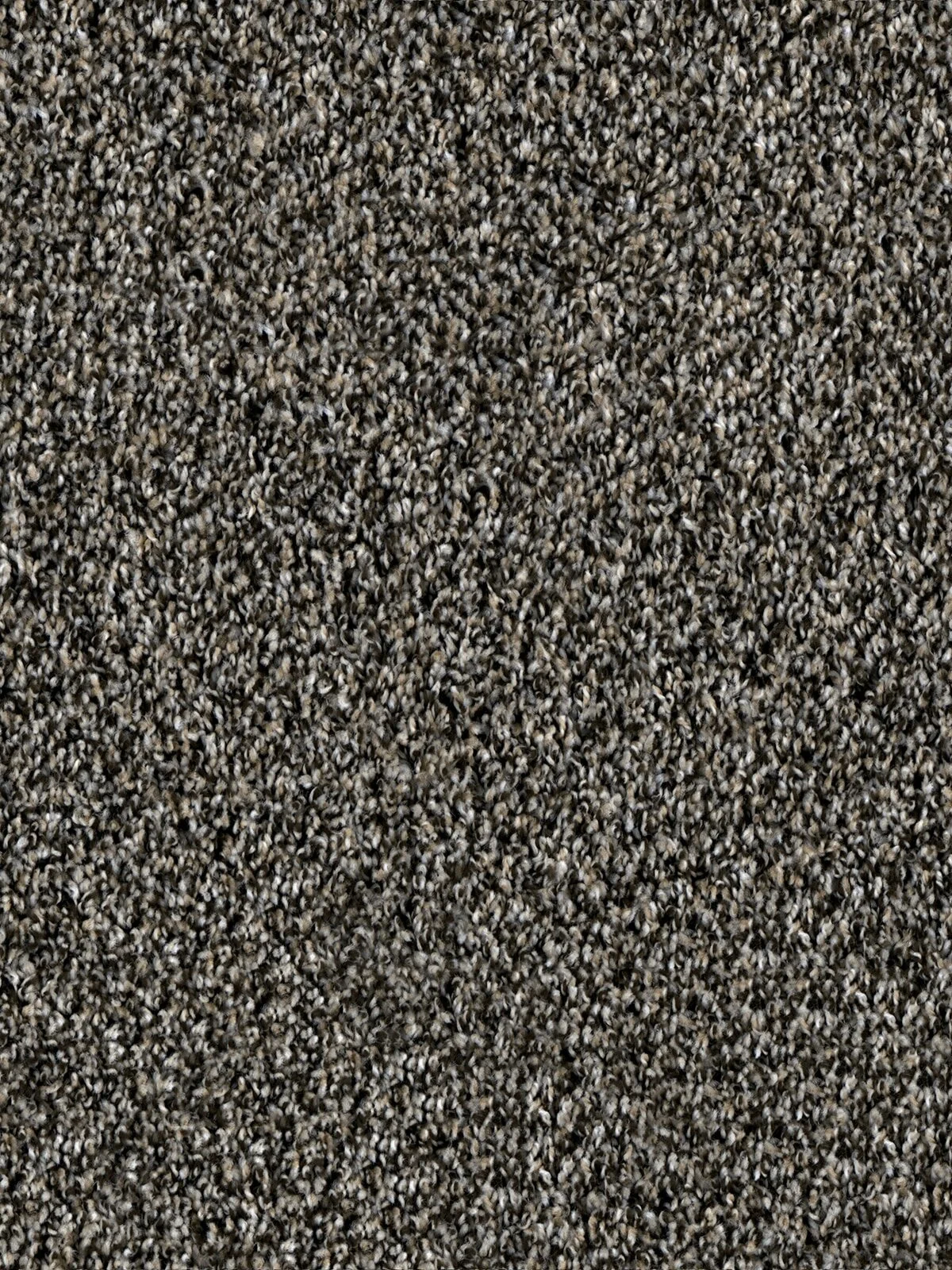 3225_303__91102.1559746500.jpg