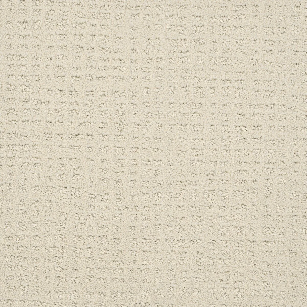 2845_6022__89661.1581695129.jpg