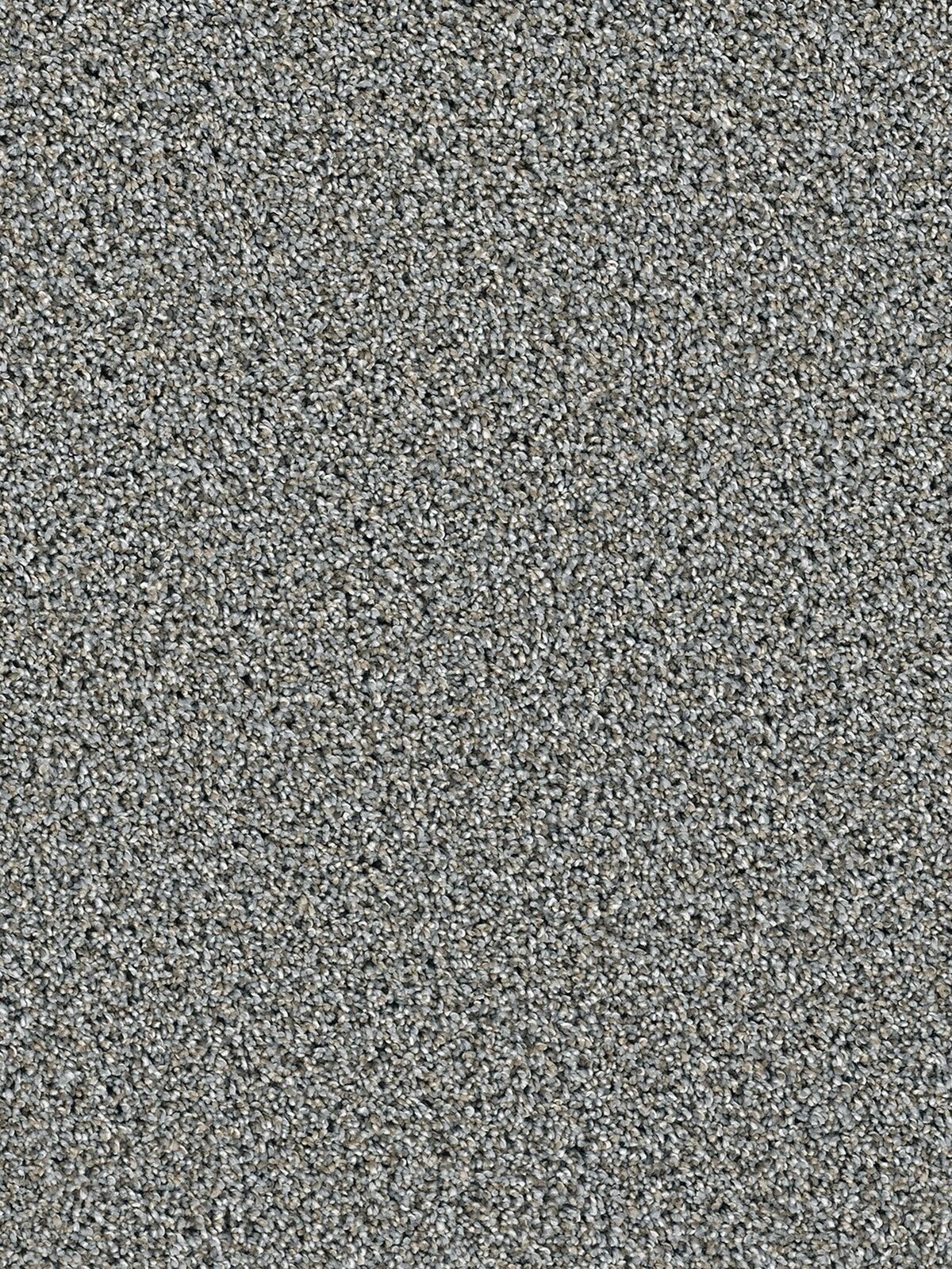 4775_815__83214.1560263693.jpg