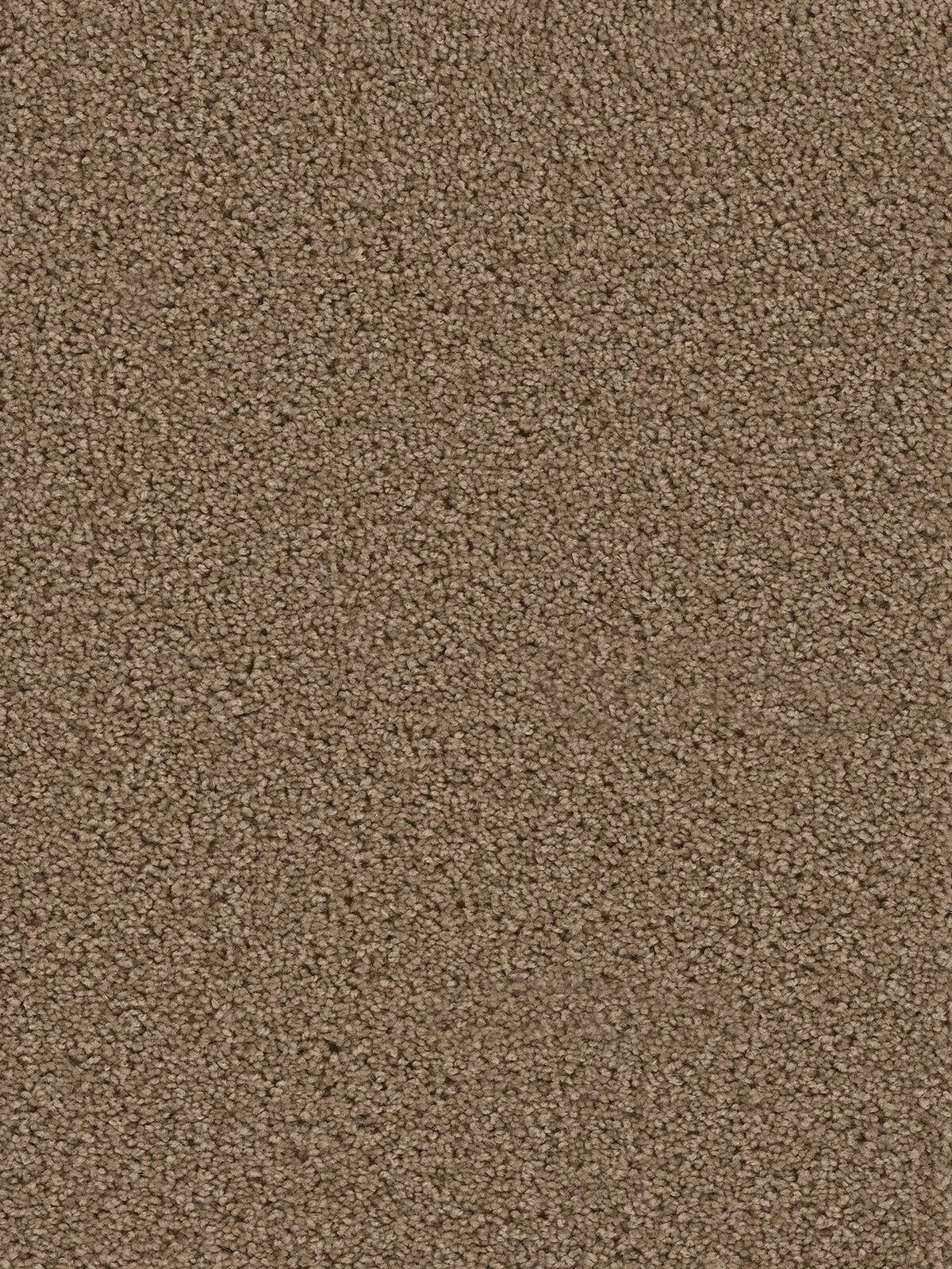 7402_510__22853.1559850716.jpg