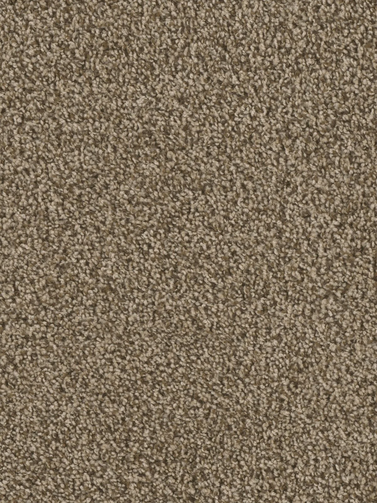 4160_451__51934.1566226354.jpg
