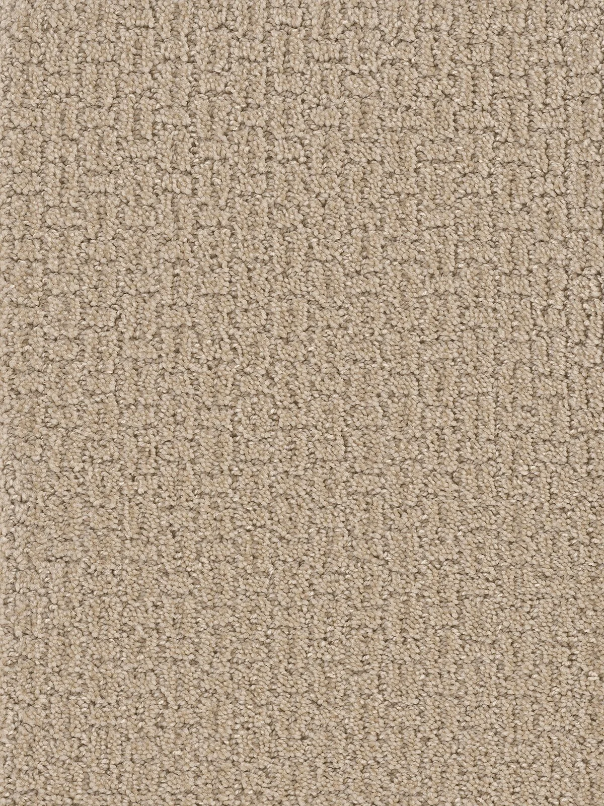 1331_564__20180.1559763207.jpg