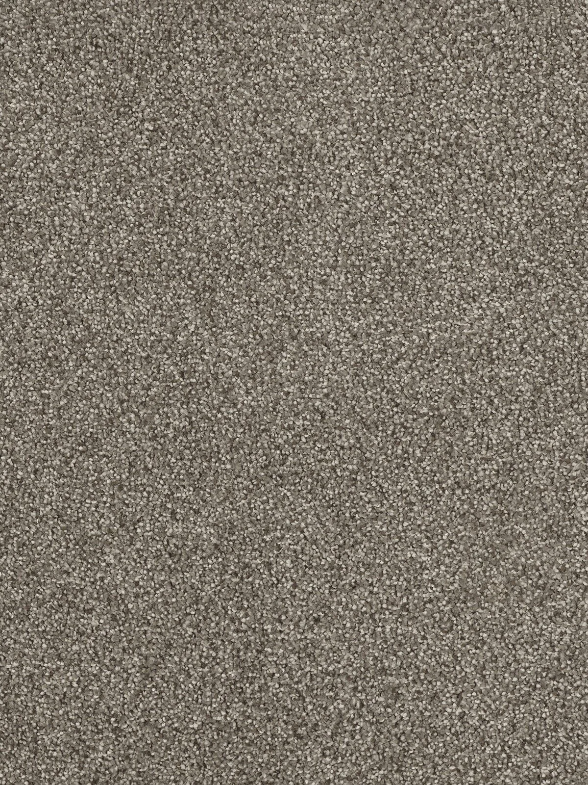 8232_622__28023.1566480716.jpg