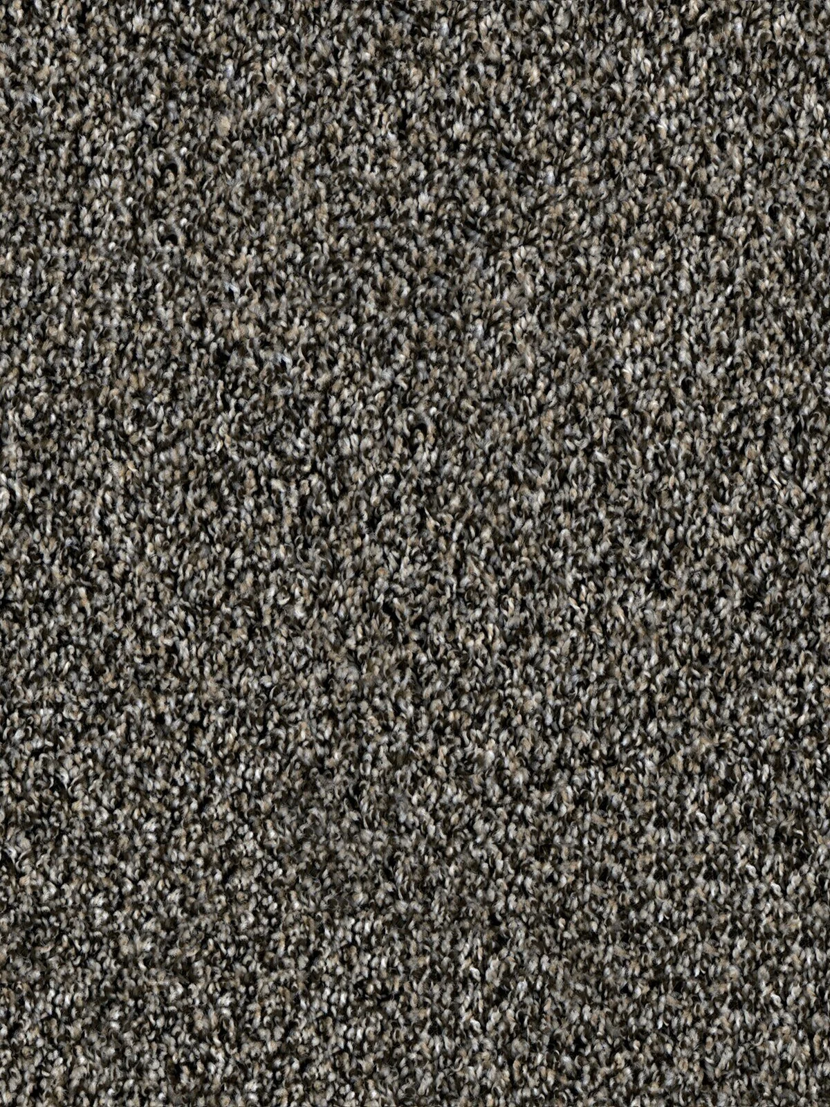 1424_303__93406.1579015475.jpg