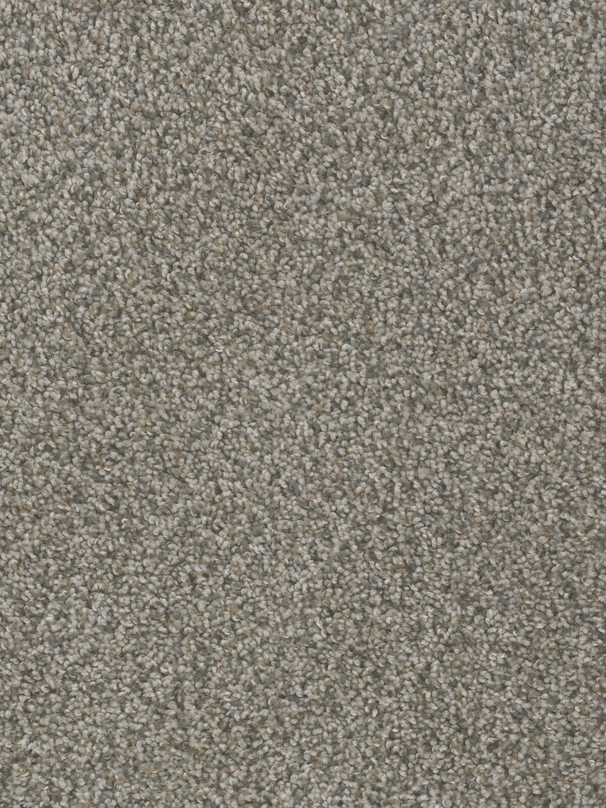 1424_255__02029.1579015475.jpg