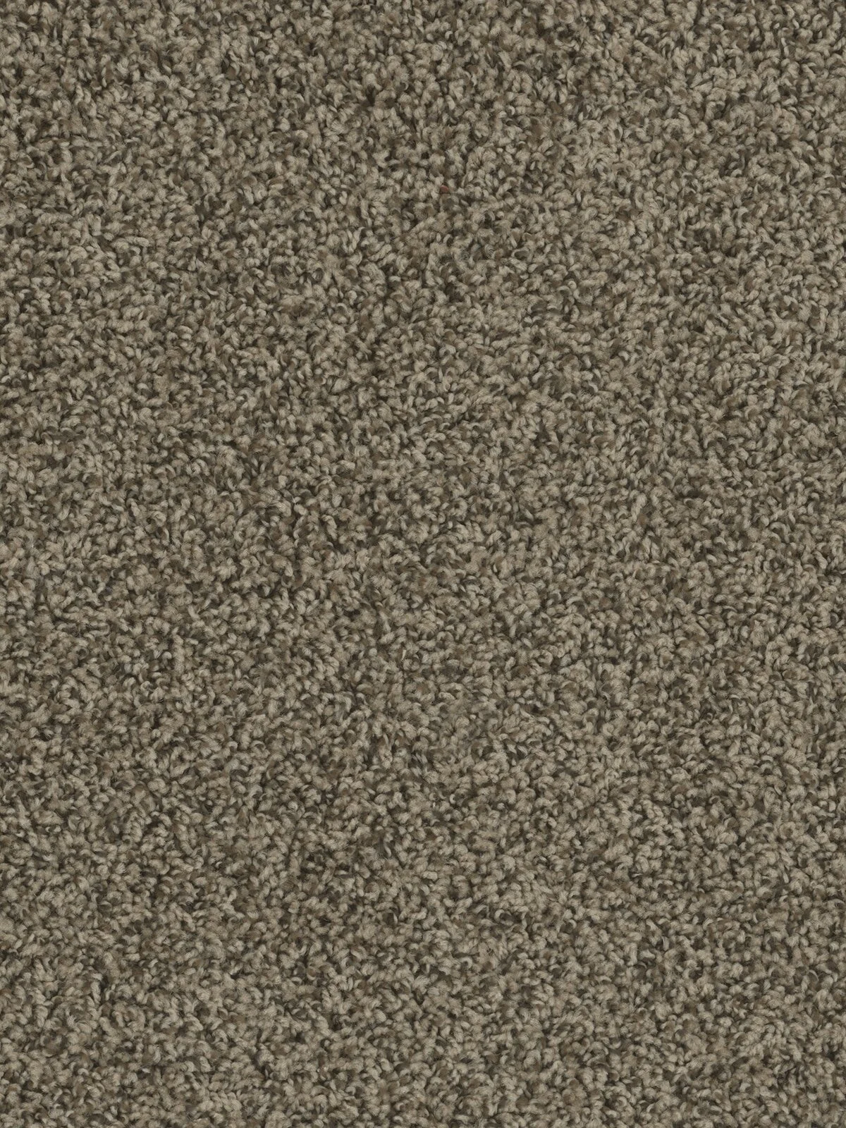 1424_512__28203.1579015475.jpg