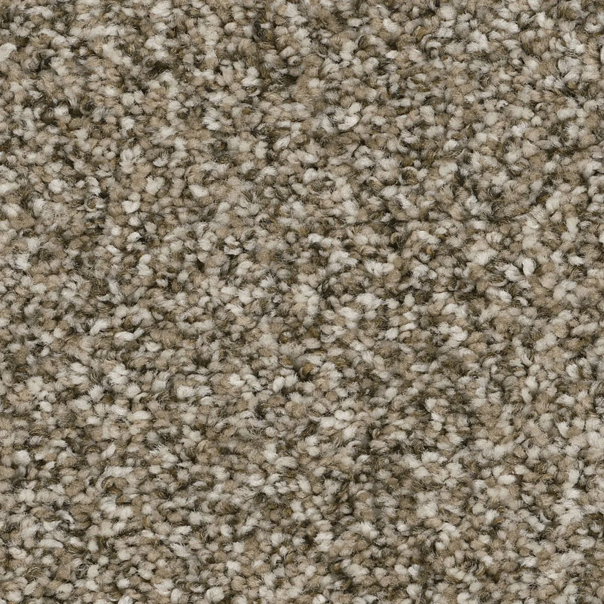 7560_637__68577.1559929864.jpg