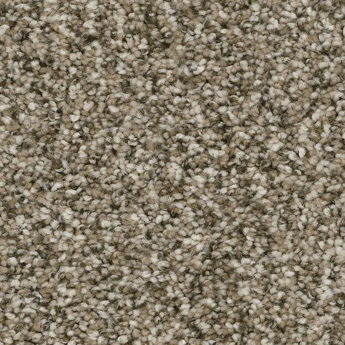 7560_637__68577.1559929864.1280.1280__55090.1572373414.jpg