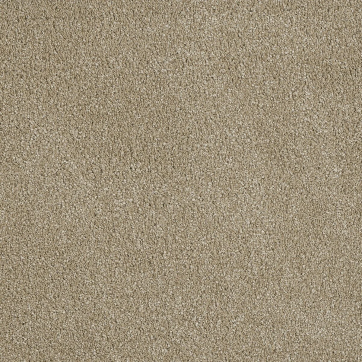 7740_580__13646.1576684394.jpg