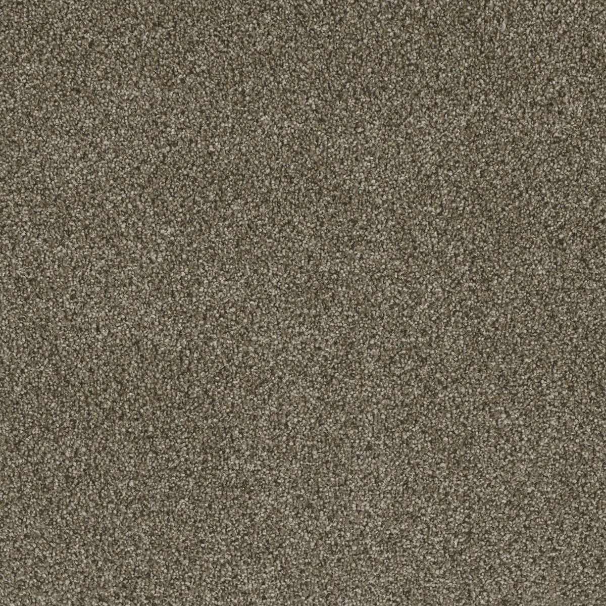7740_307__87696.1576684394.jpg