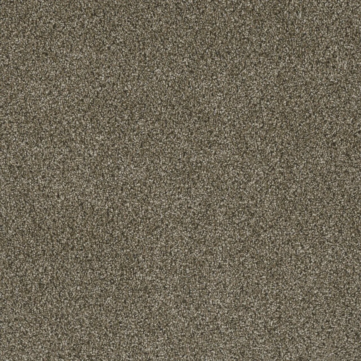 7740_307__87696.1576684394.1280.1280__56416.1576694885.jpg