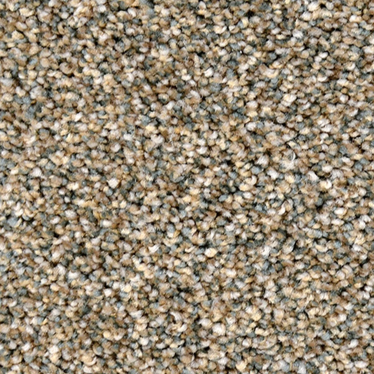 EF449_787__02672.1560173332.jpg
