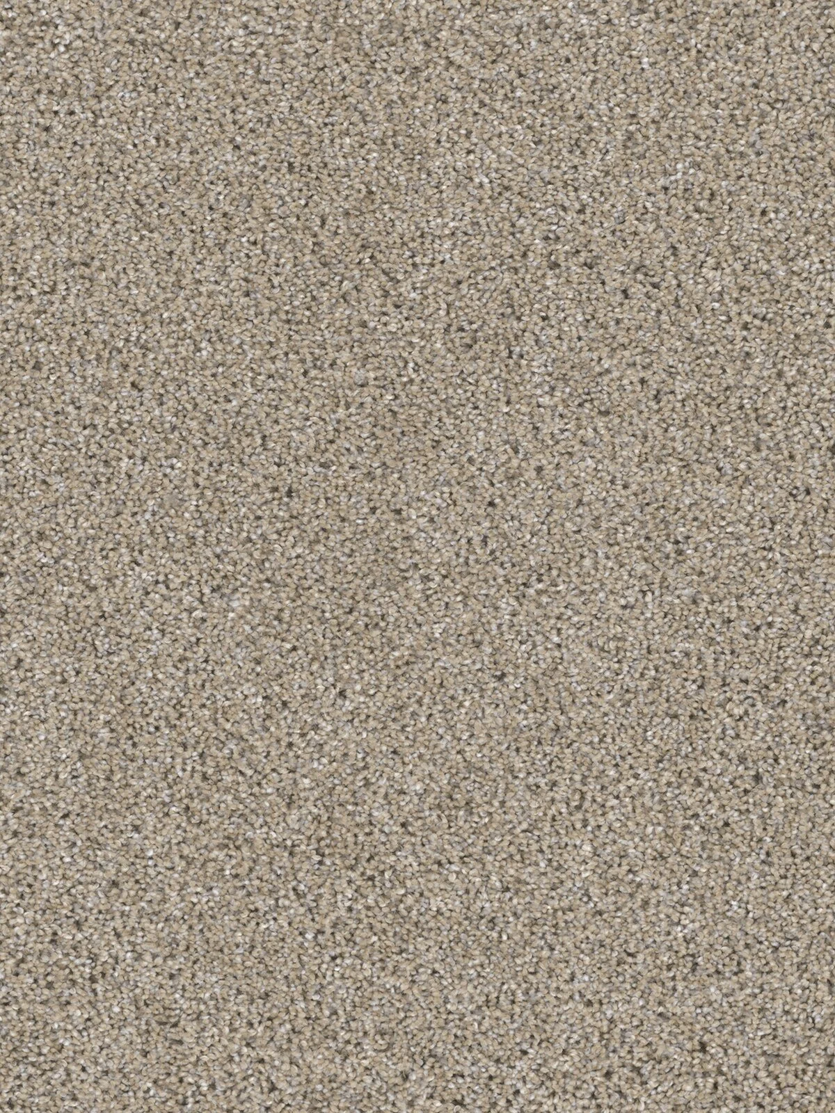 3255_513__06562.1572270327.jpg
