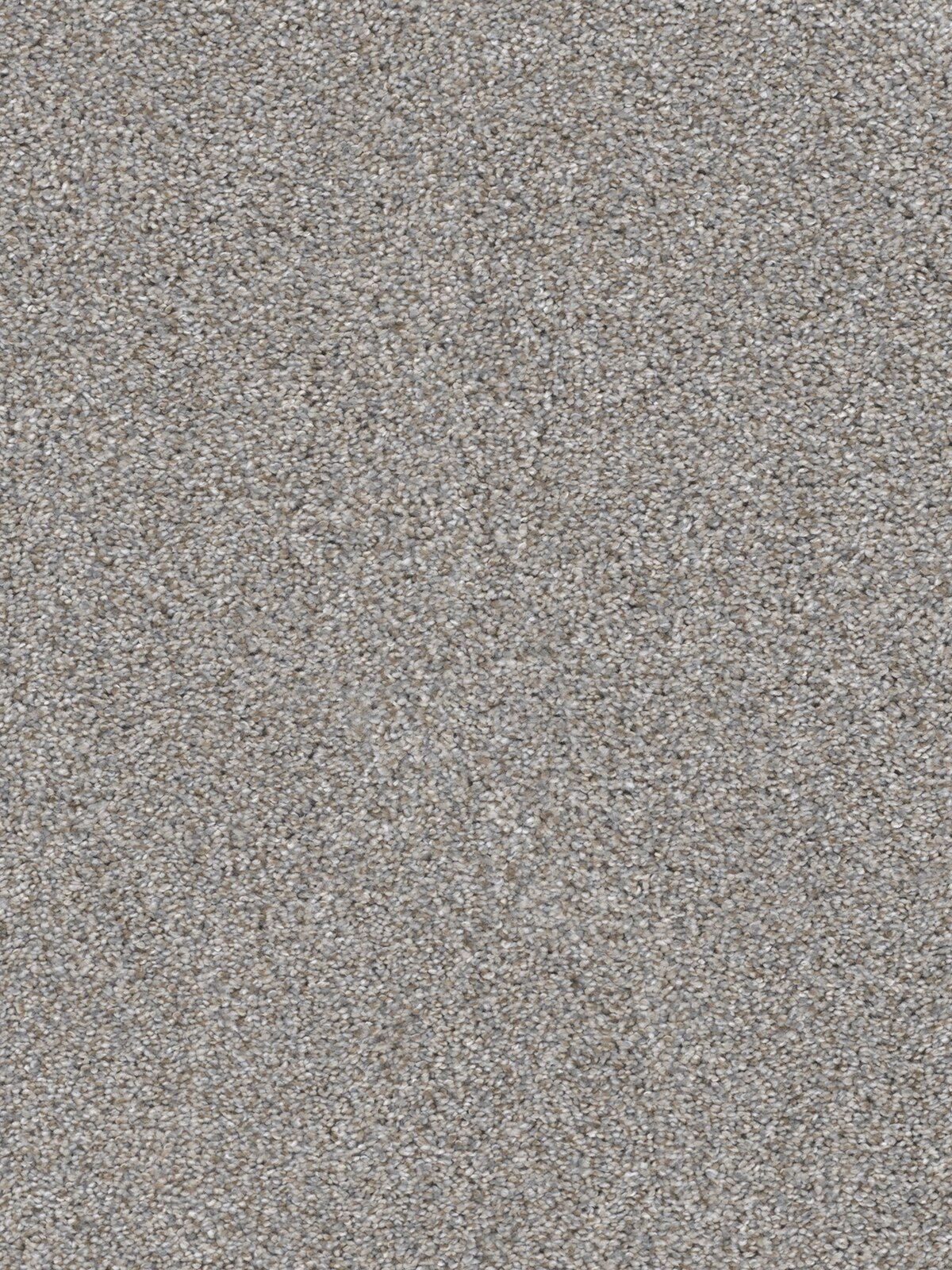 3255_302__08722.1572270049.jpg