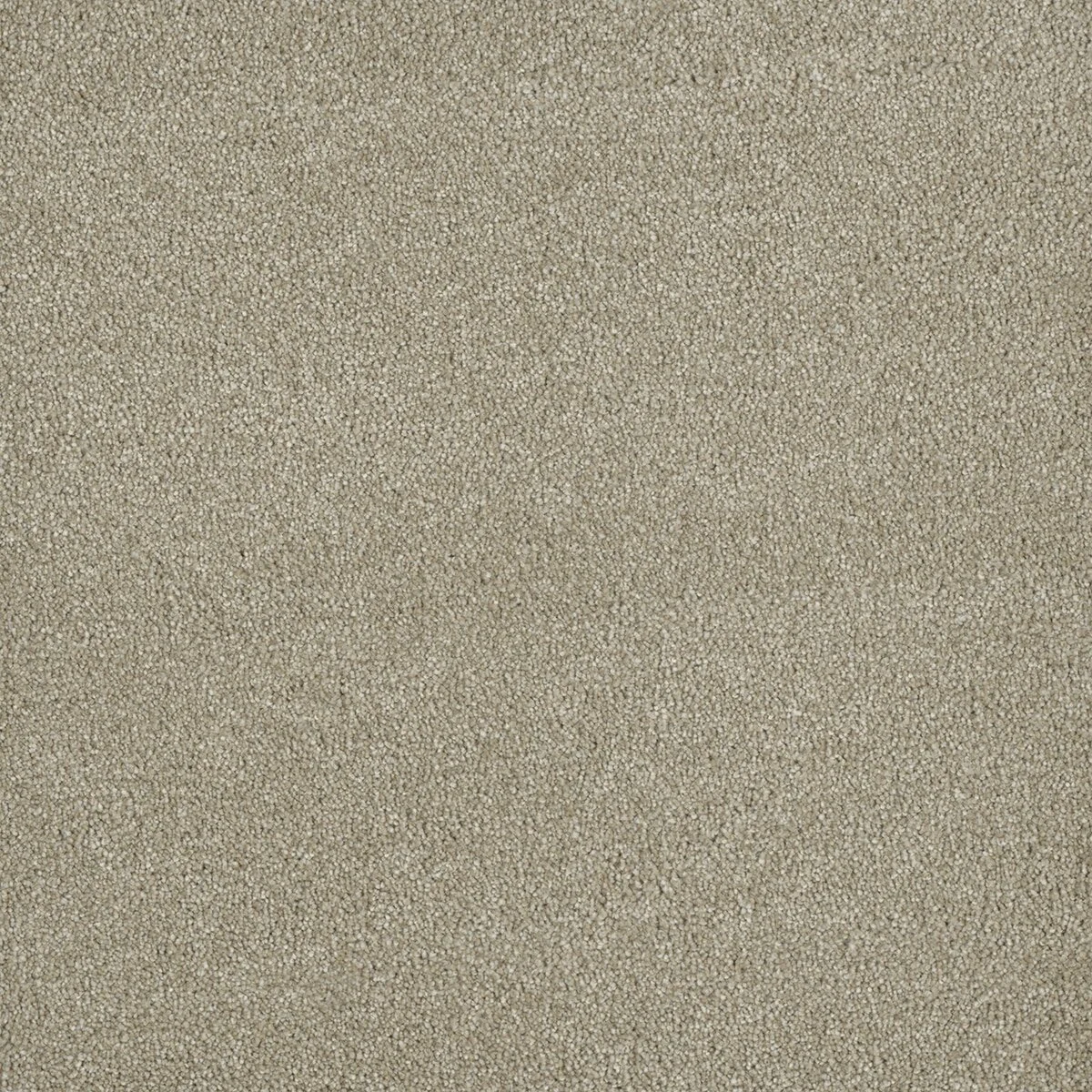 3740_430__44992.1572292824.jpg