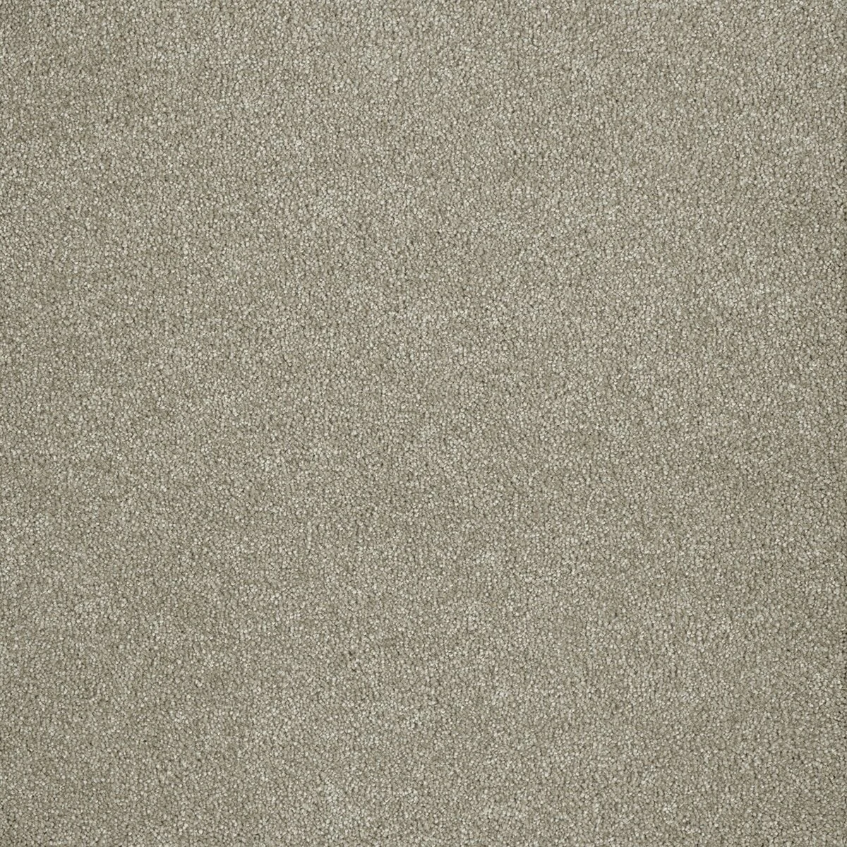 3740_169__19208.1572293465.jpg
