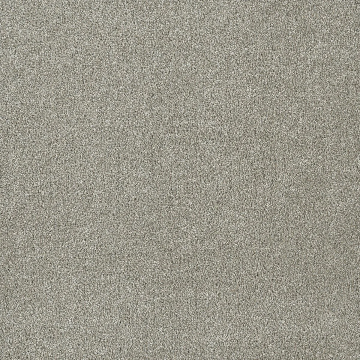 3740_780__80659.1572294256.jpg