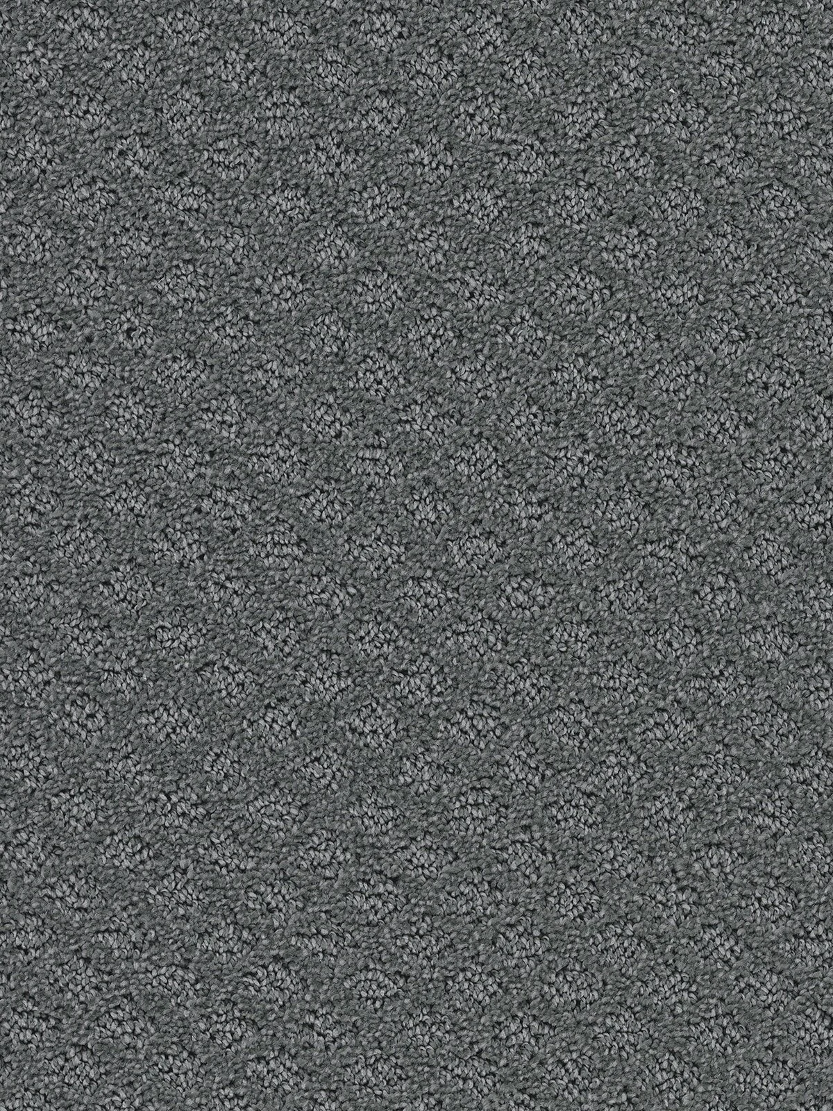 3022_890__26628.1559830472.jpg