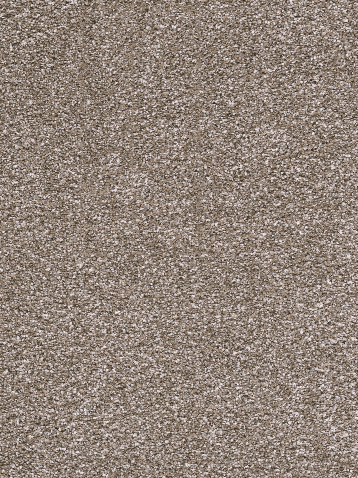 6565_105__07439.1560175507.jpg