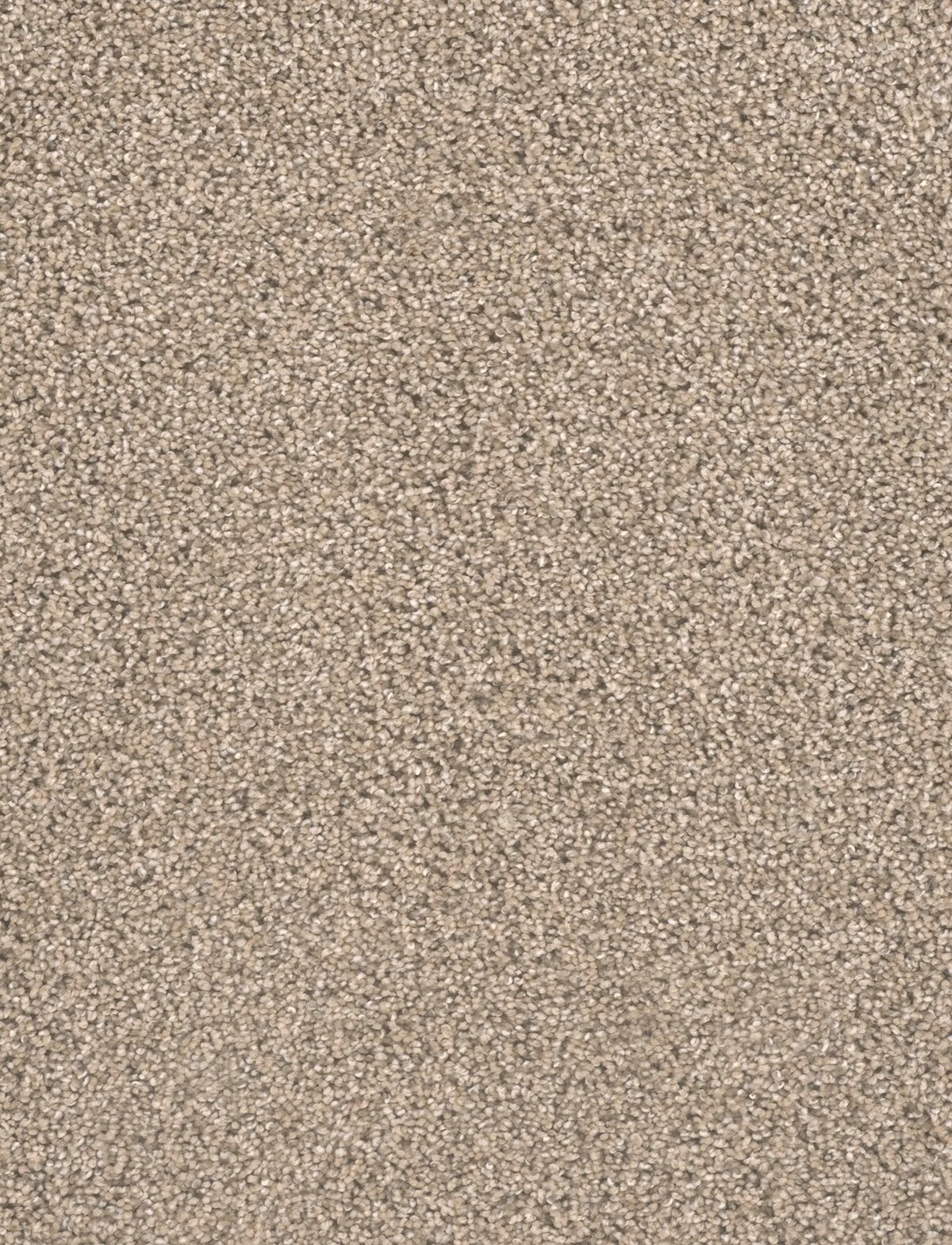 9400_726__91410.1560346648.jpg
