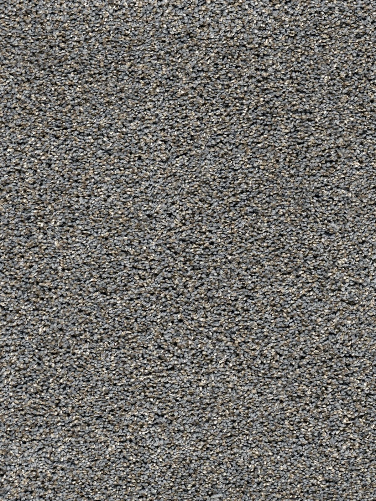 8400_826__56976.1560346359.jpg
