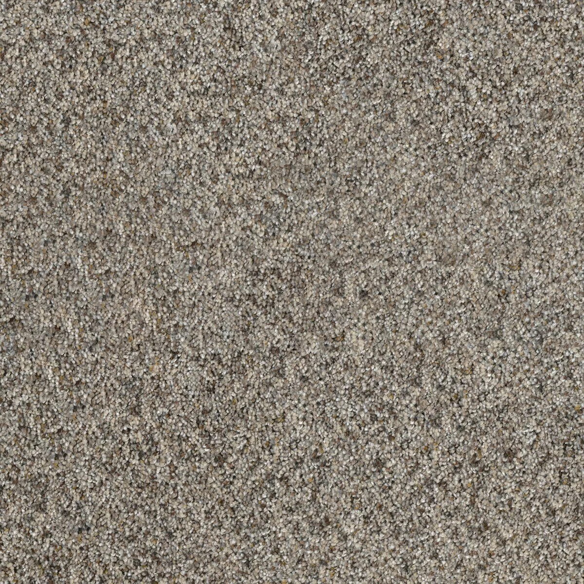 8265_154__42034.1567620291.jpg