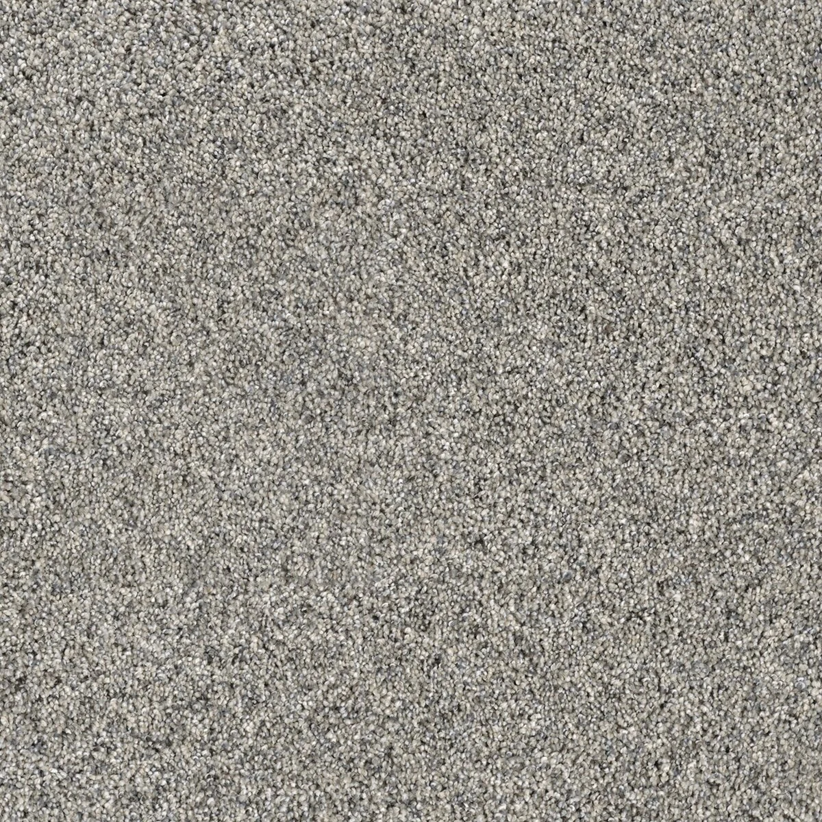 8265_353__46438.1567620291.jpg