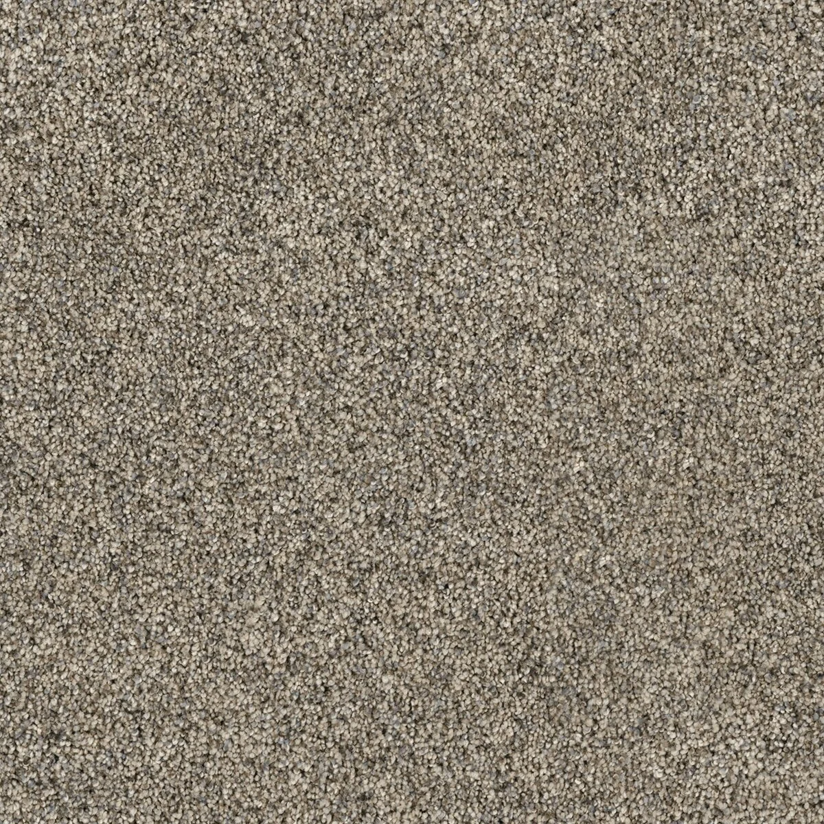 8265_508__61622.1567620293.jpg