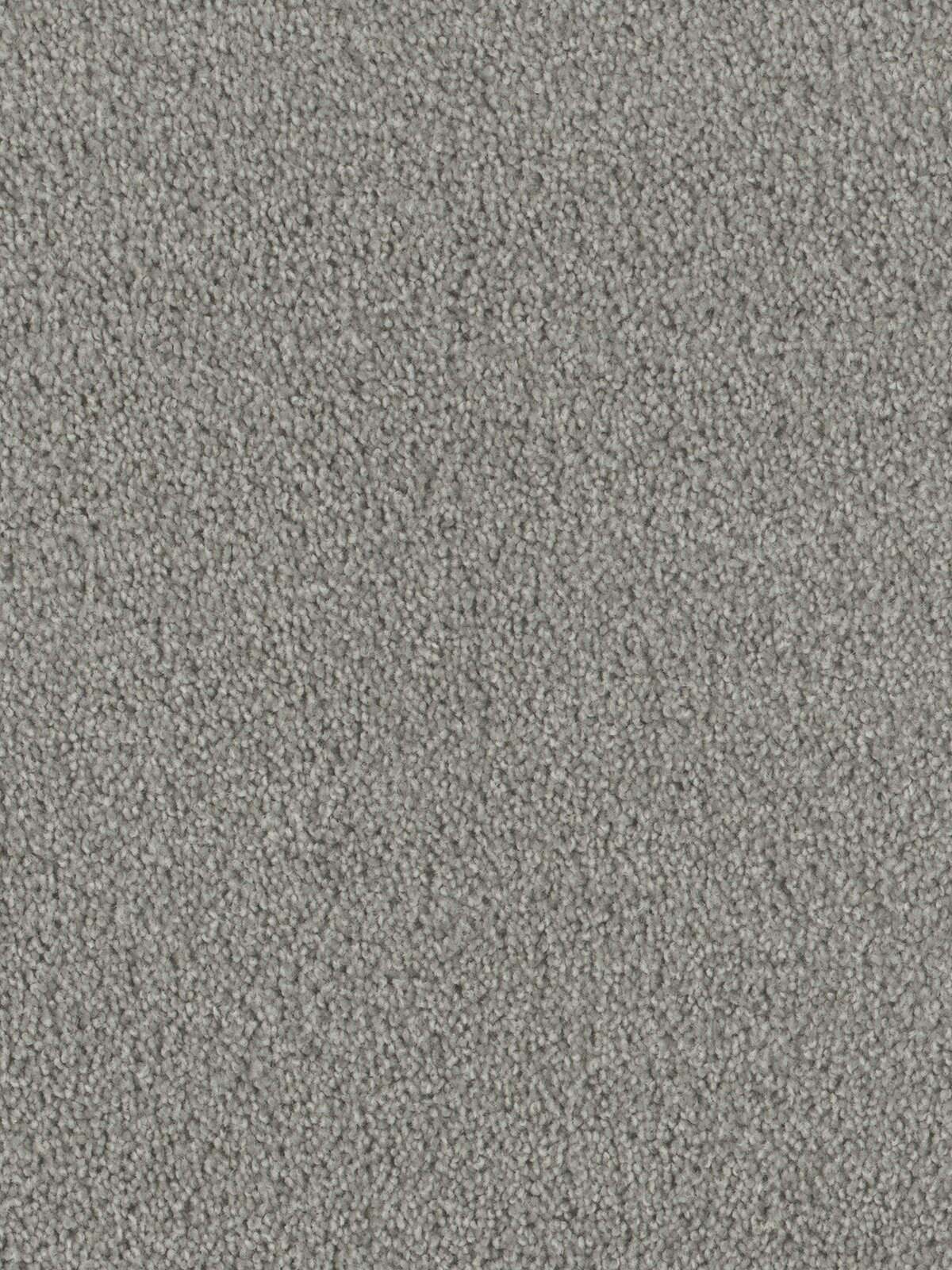 E196_817__14145.1568733073.jpg