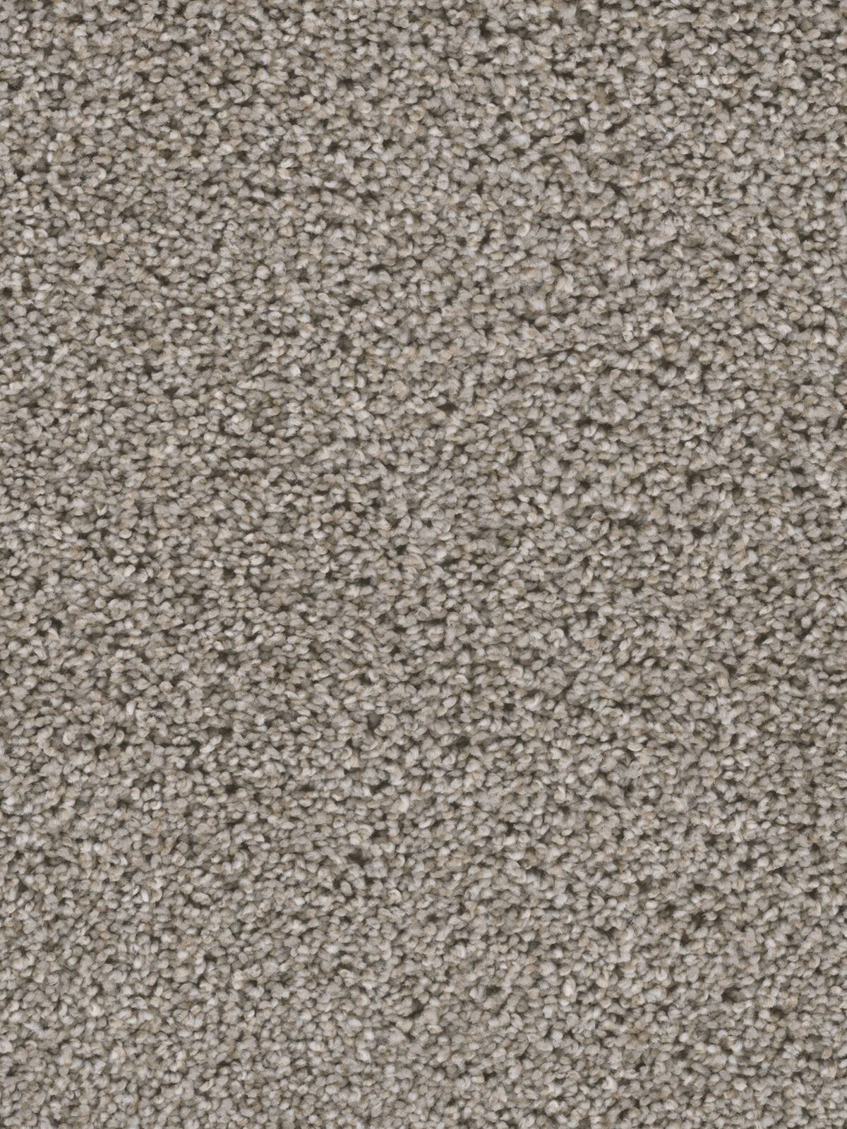 5348_192__34666.1572286960.jpg