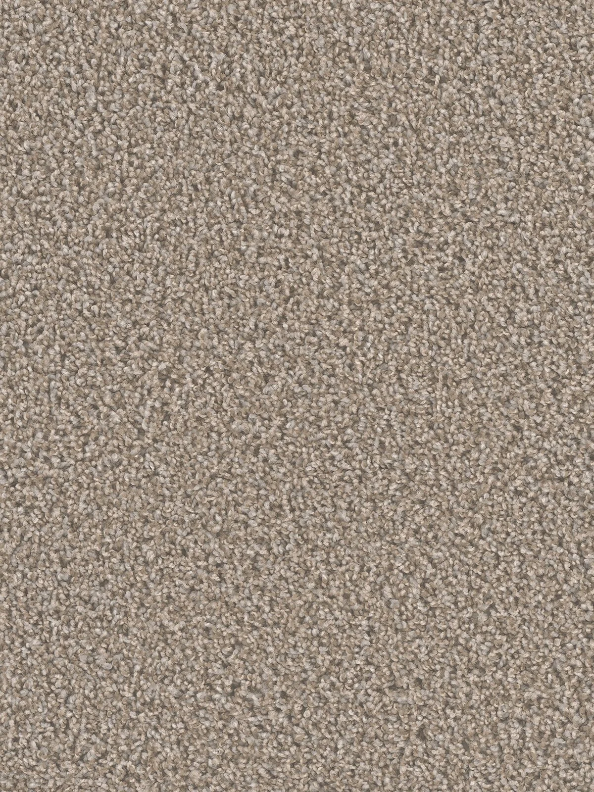 5352_444__88800.1559849340.jpg