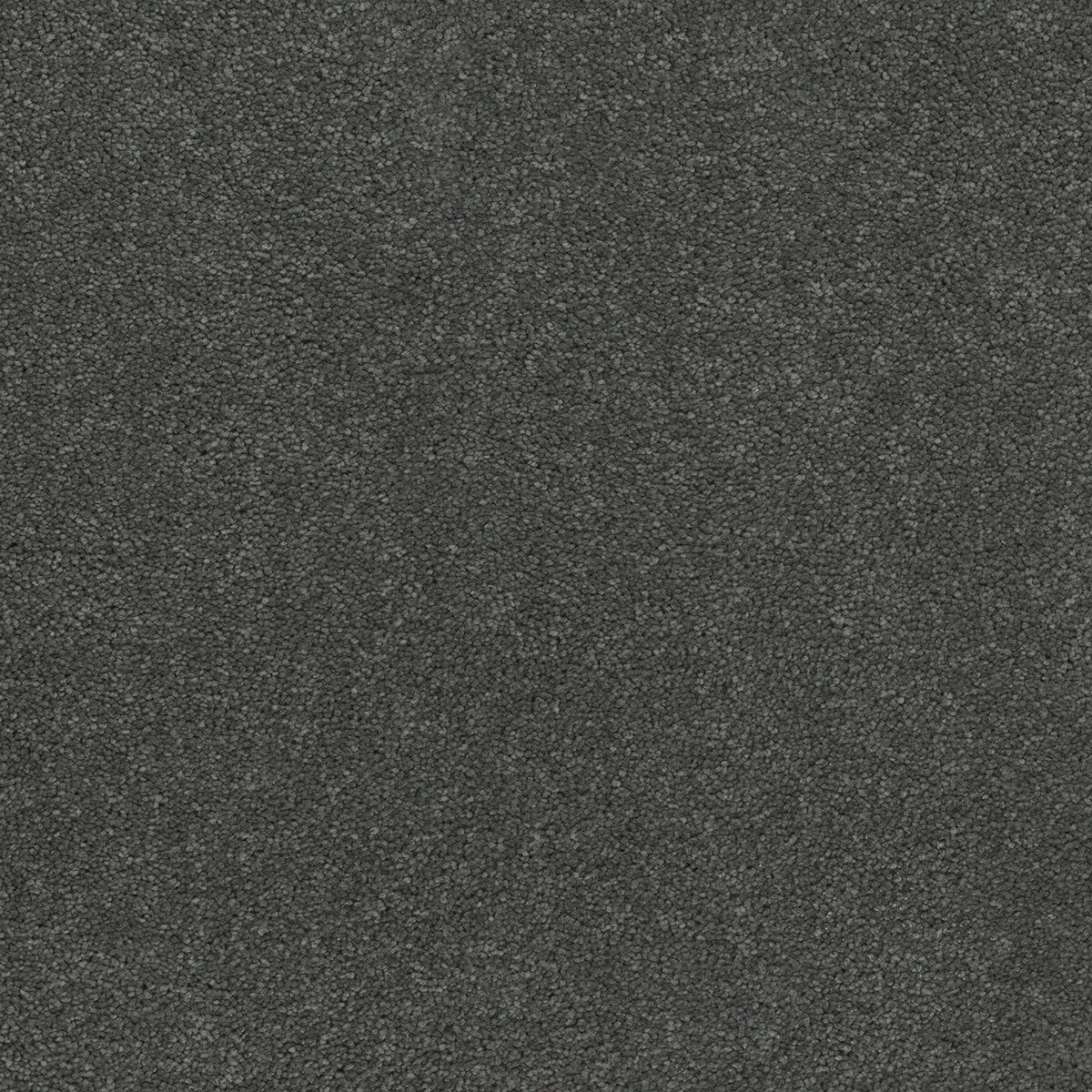 4355_960__74008.1572292368.jpg