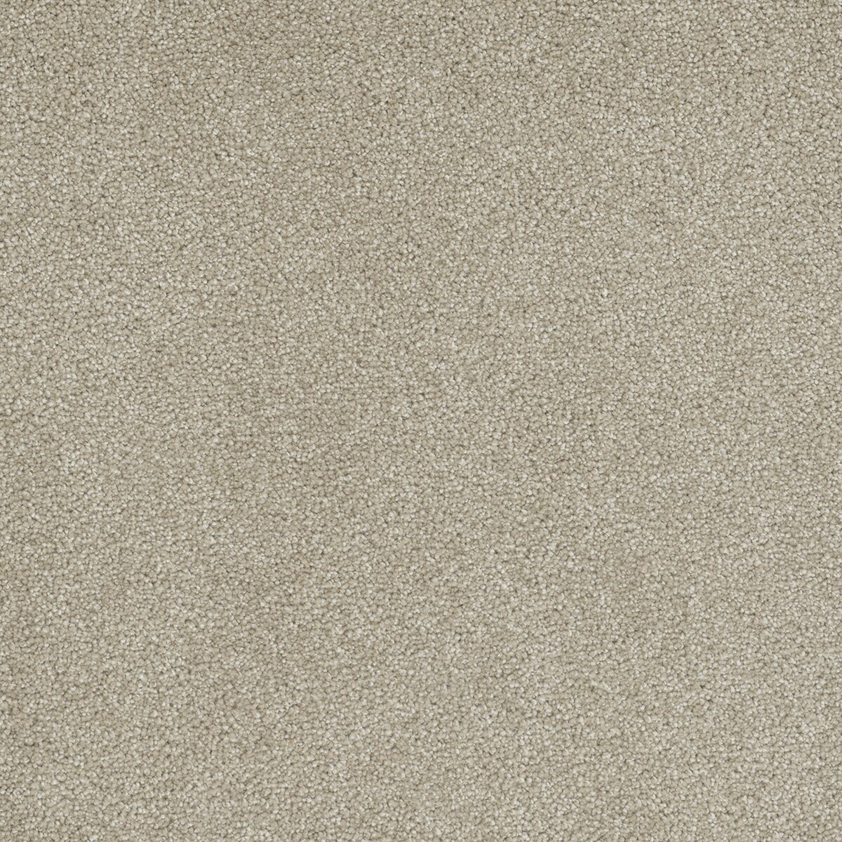 4355_580__38893.1572288060.jpg