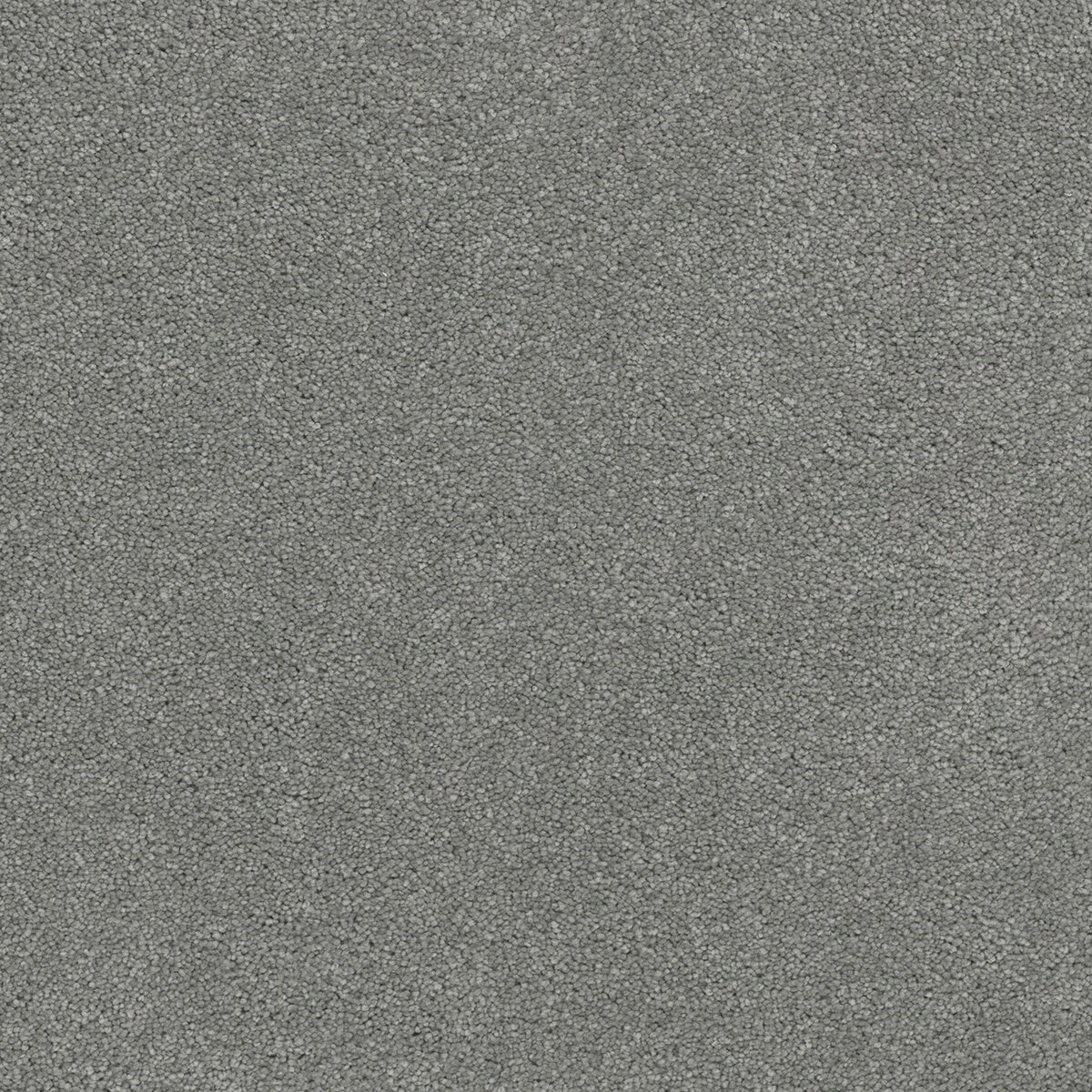 4355_920__94287.1572287614.jpg