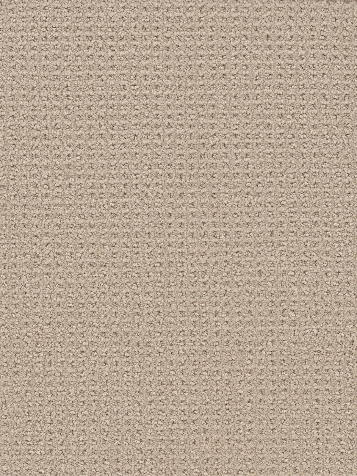7325_730__96698.1559844833.jpg
