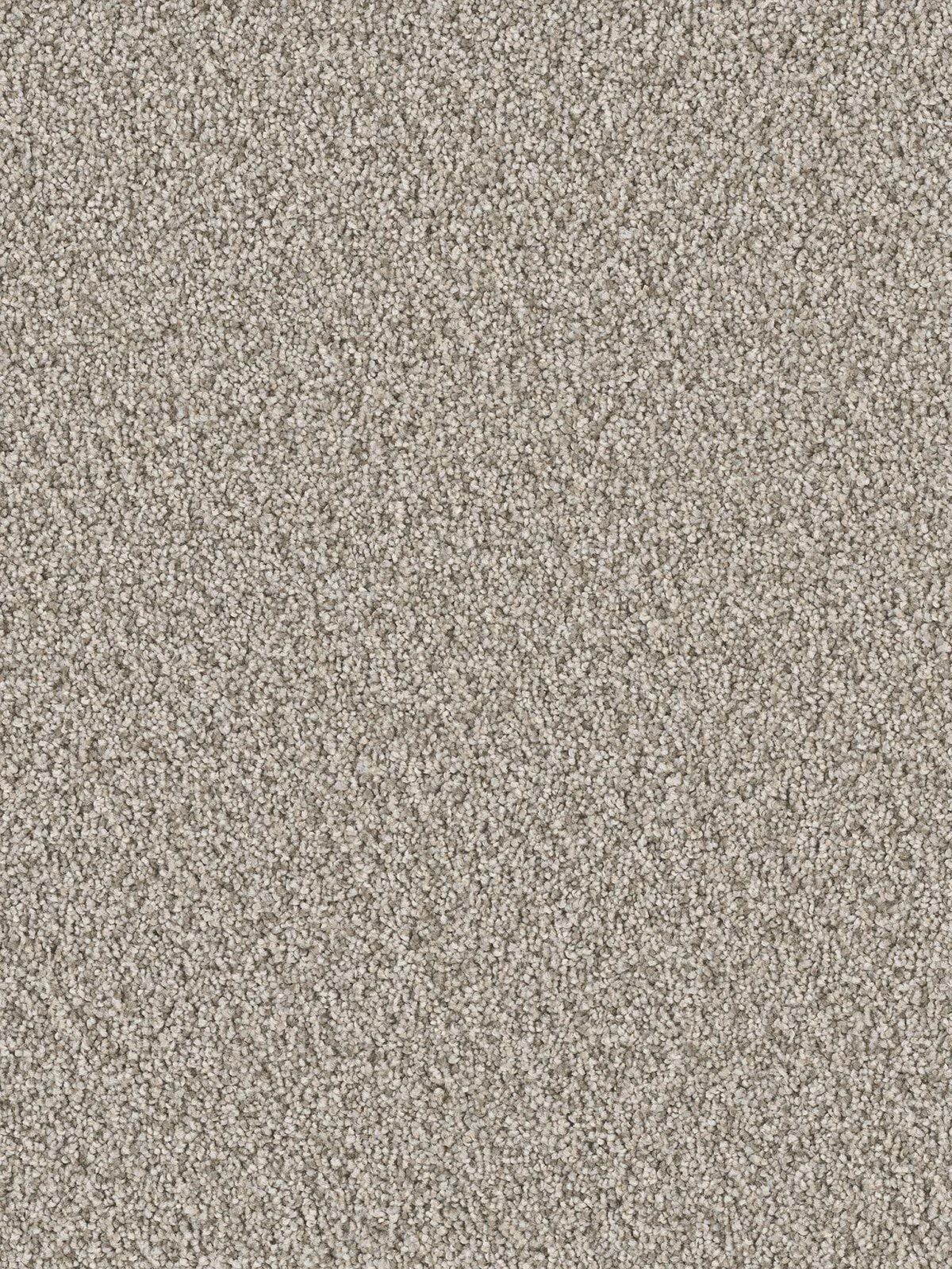 7450_779__39652.1560277579.jpg
