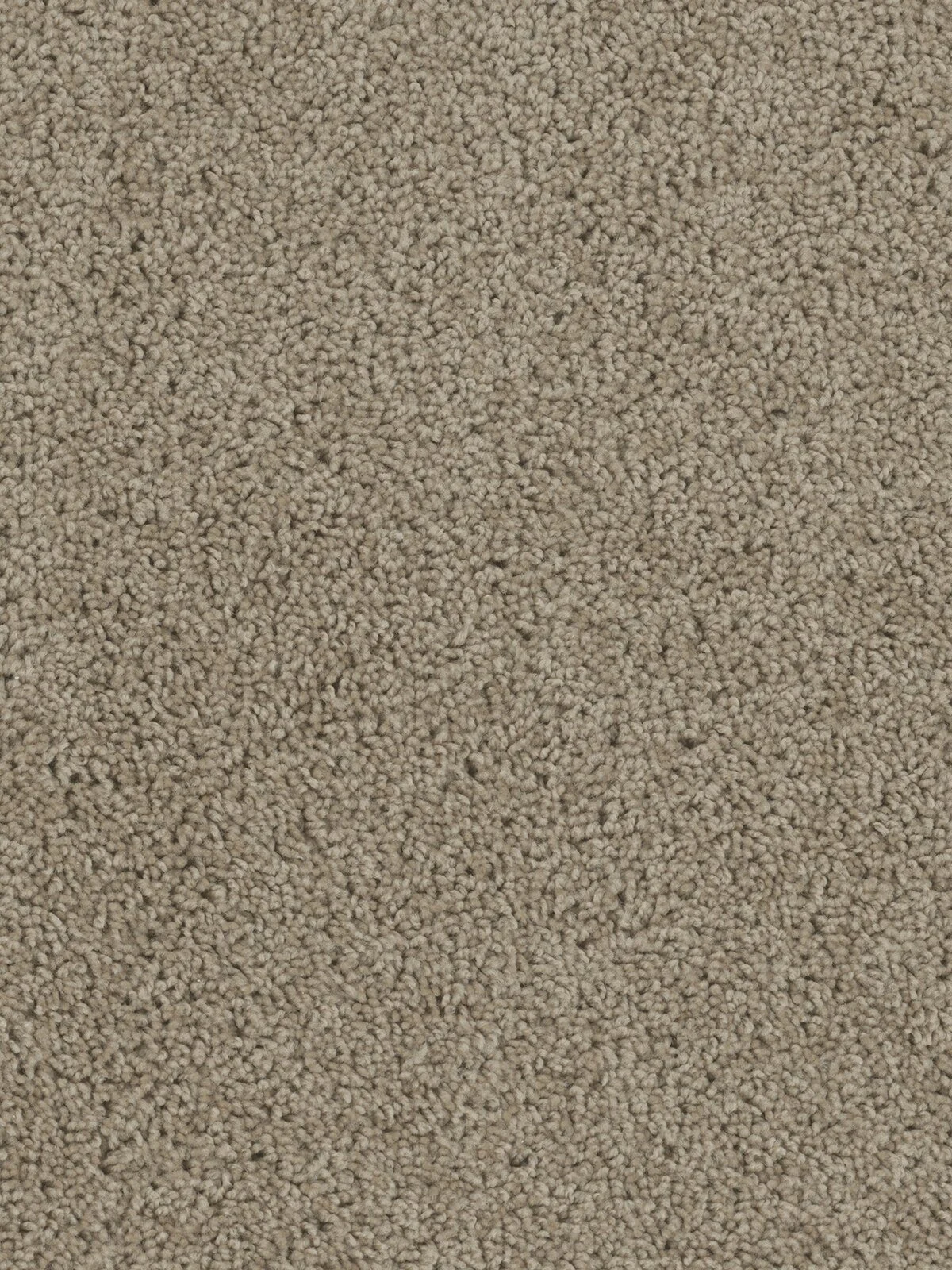 SP250_715__09913.1579187321.jpg