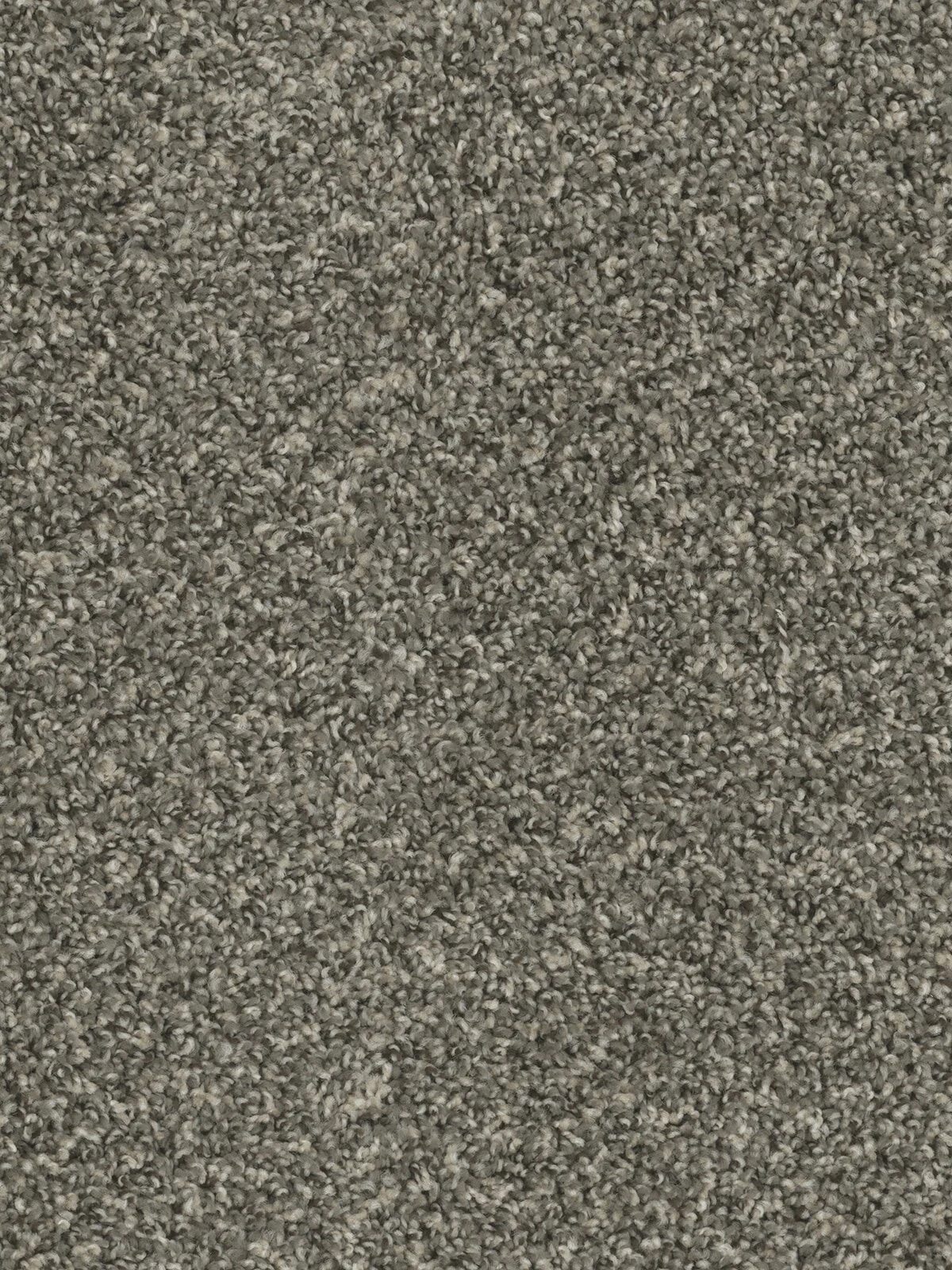 SP250_783__24184.1579187321.jpg