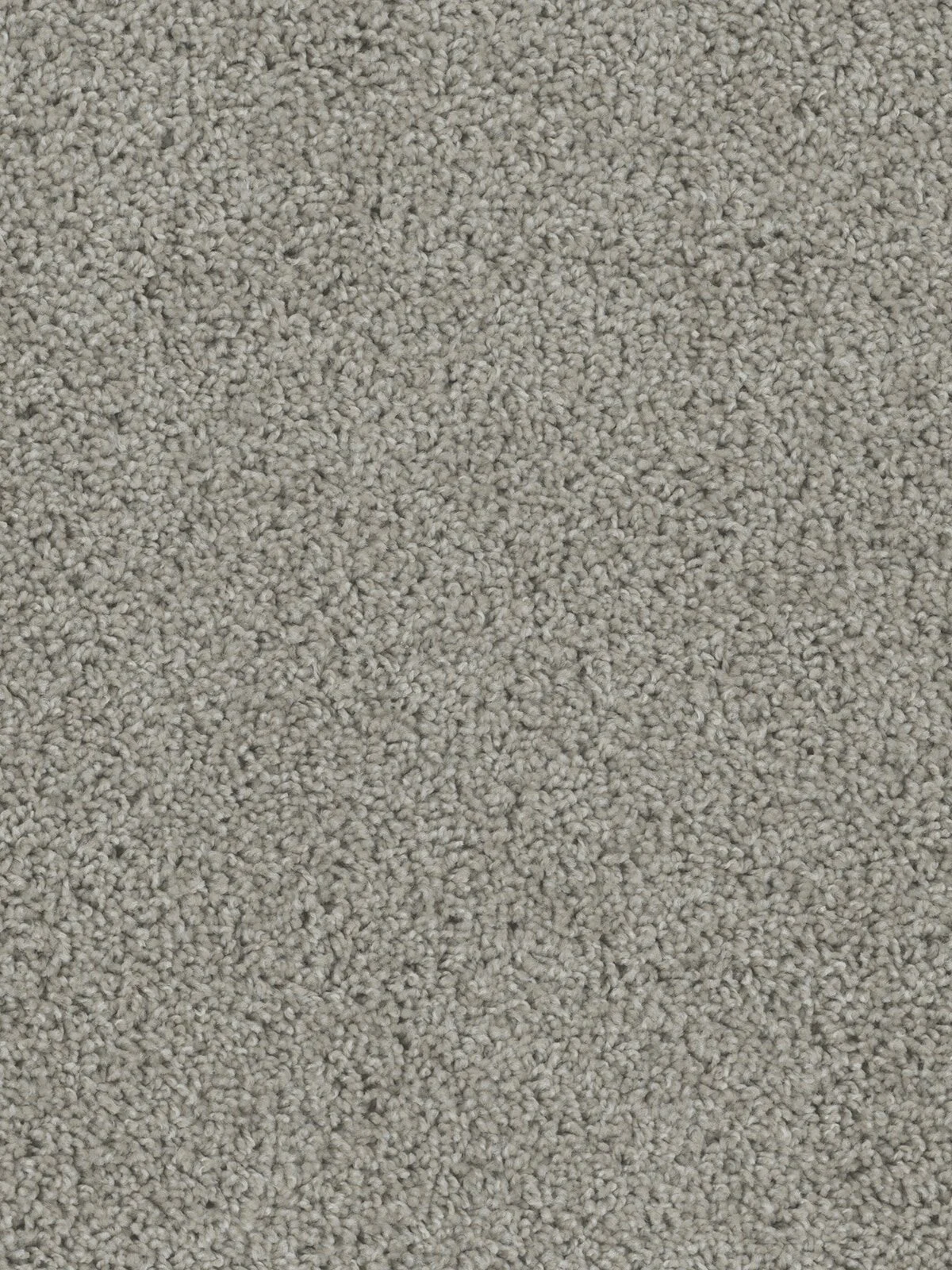 SP250_927__03169.1579187321.jpg