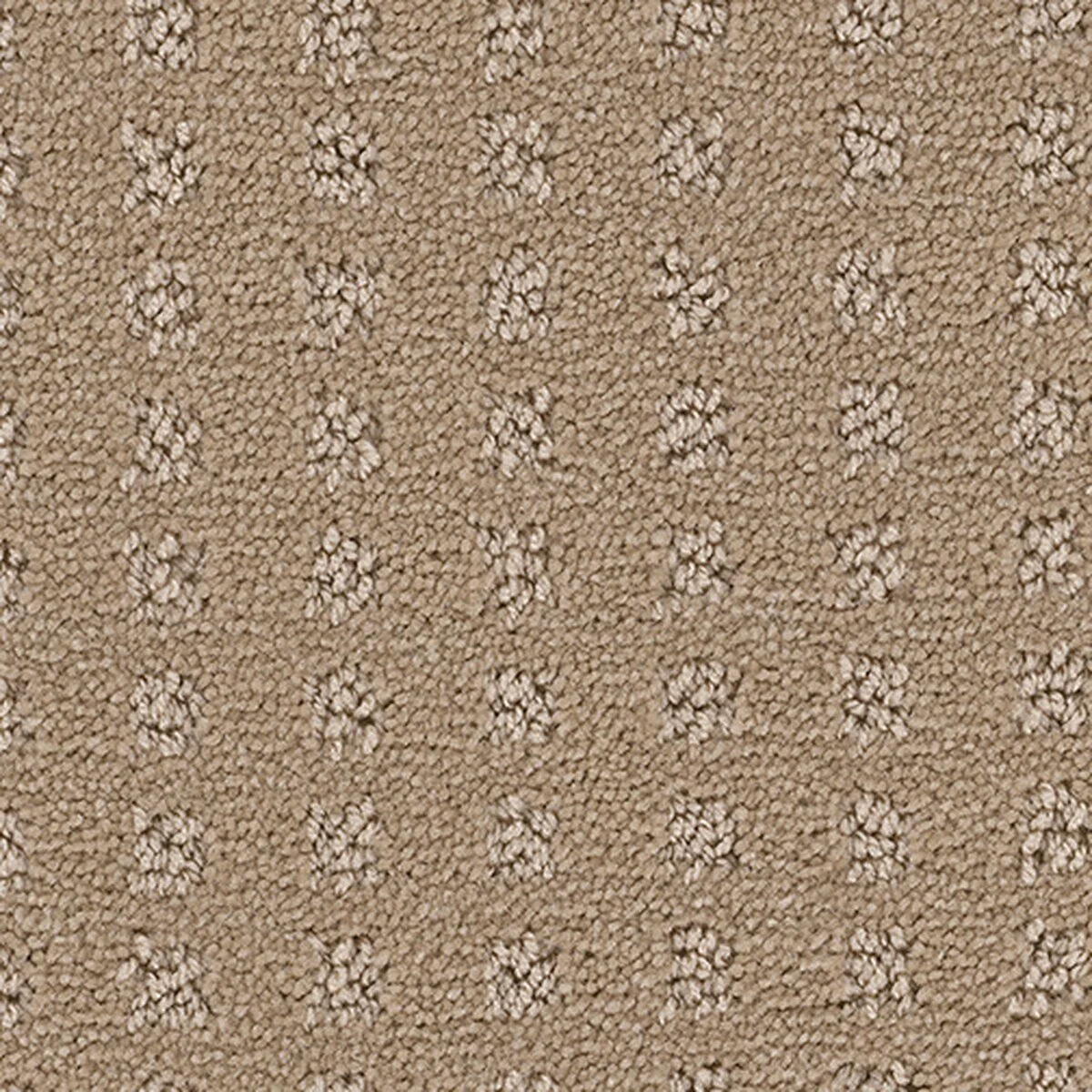 ED800_530__17342.1559836085.jpg