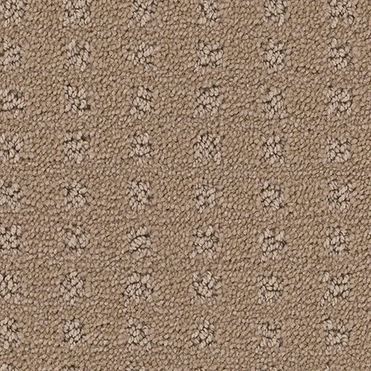 ED800_715__80616.1559836084.jpg