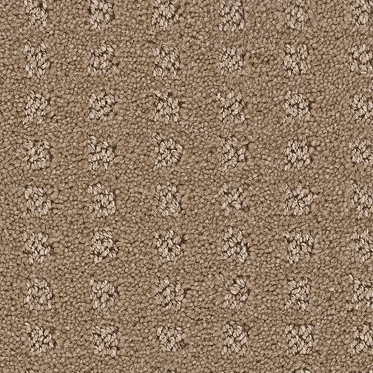 ED800_720__46233.1559836084.jpg